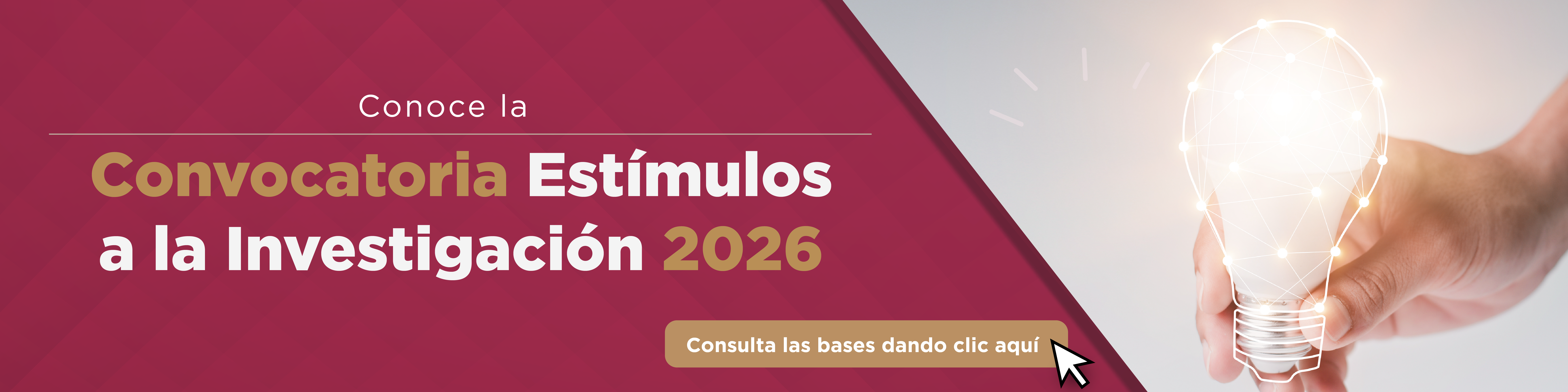 Banner Convocatoria Estimulos a la Investigacion 2026